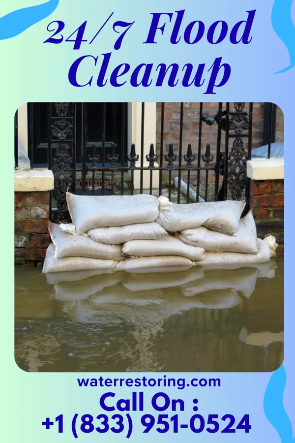 24/7 Flood Cleanup in Kingston, MN