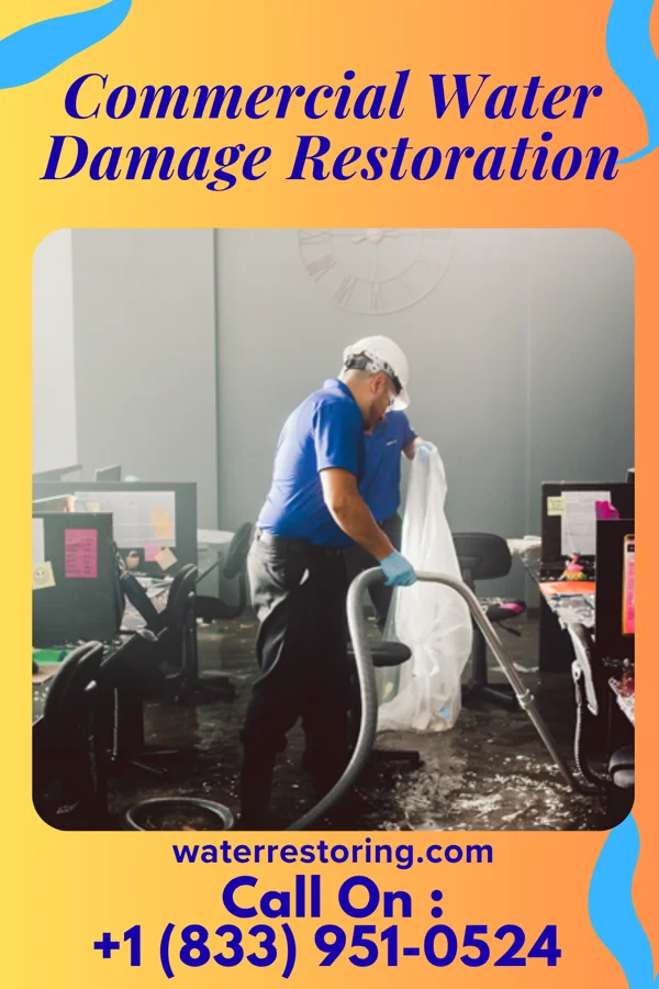 Commercial Water Damage Restoration in Kingston, MN
