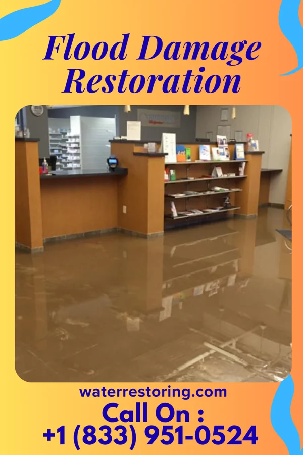 Flood Damage Restoration in Kingston, MN