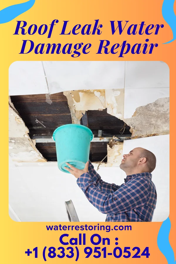 Roof Leak Water Damage Repair in Kingston, MN