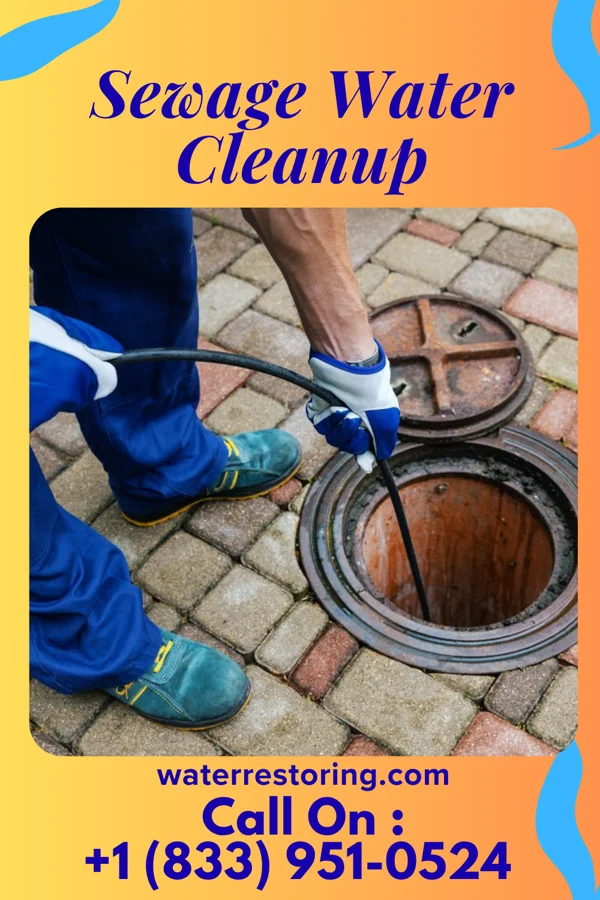 Sewage Water Cleanup in Kingston, MN